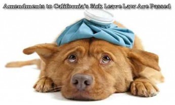 Amendments-to-California's-sick-leave-law-are-passed